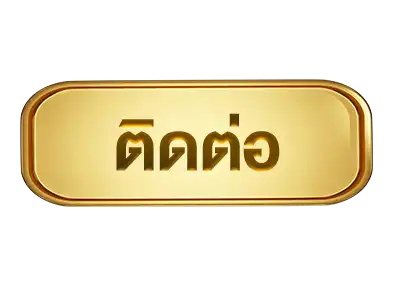 แบนเนอร์ 11