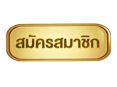 แบนเนอร์ 3